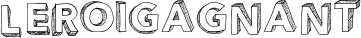 leroigagnant