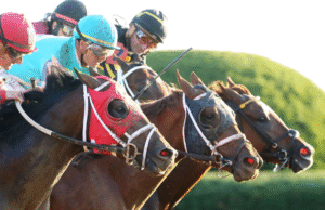 The Role of Data in Improving Safety