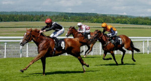 The Psychology of Race Day Atmosphere