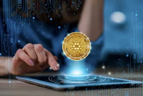 How Development Progress Affects Token Value