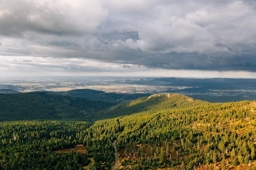 top things about zopalno far